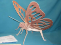 butterfly-3d-puzzle.jpg