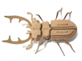 escaravelo.jpg