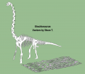 Brachiosaurus_Vectors.jpg