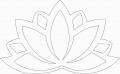 flor de lotus1.jpg
