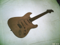 OVH - Fender Stratocaster 05.jpg